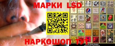 прущие грибы Краснознаменск