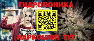 прущие грибы Краснознаменск