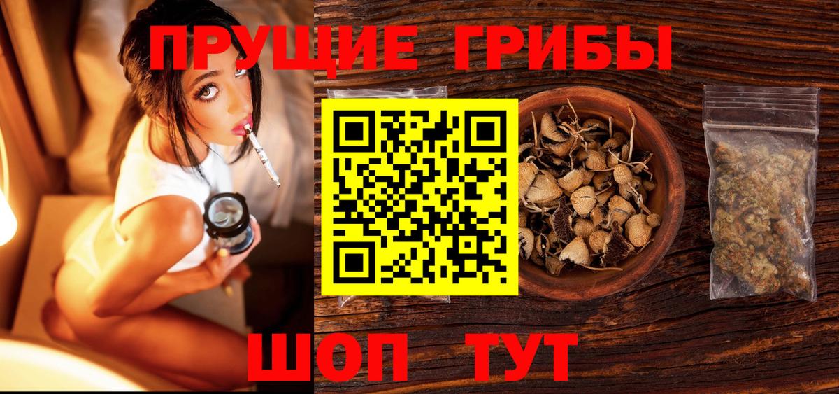 Галлюциногенные грибы GOLDEN TEACHER  Вход с VPN  где купить наркотик  Киров 