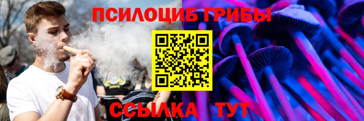 Псилоцибиновые грибы Psilocybe Киров